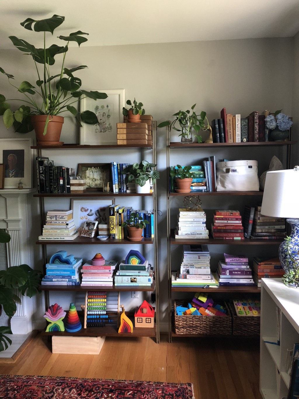 Just a fraction of this plant lady's collection