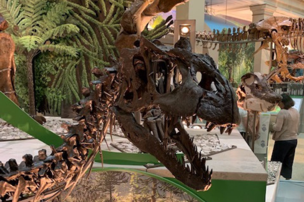Smithsonian Dinosaurs